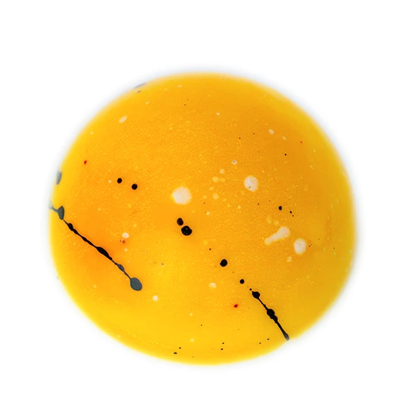 Demi-sphère en chocolat gourmande